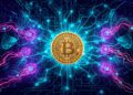 Common Bitcoin Scams and How to Avoid Them: A Comprehensive Guide